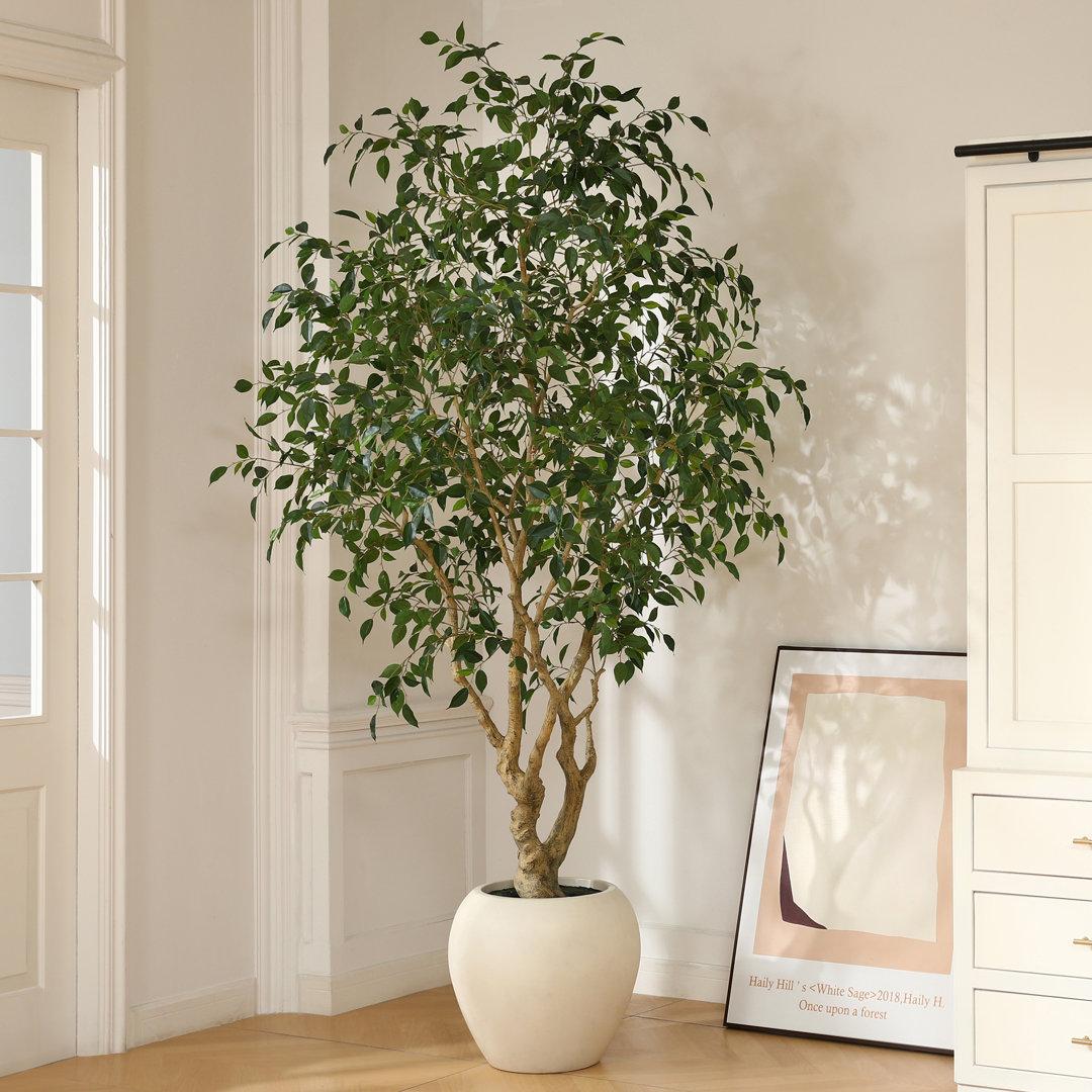 Adcock 8ft Artificial Ficus Tree with 18in White Planter, Tall Faux Ficus Tree for Outdoor